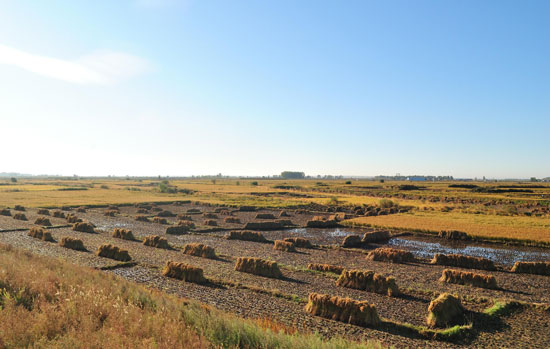 裕米灣 鳳凰山農(nóng)業(yè)發(fā)展有限公司