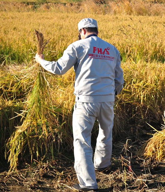 1508298381214298.jpg DSC_0123_00121_愛奇藝.jpg